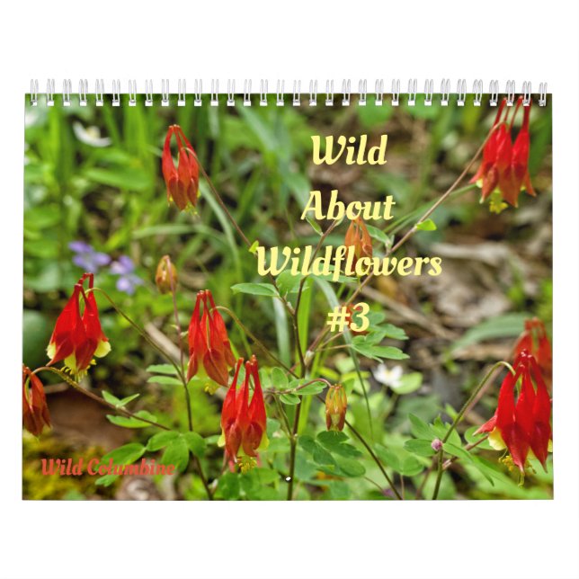 Wild Abourt Wildflowers #3 Calendar (Cover)