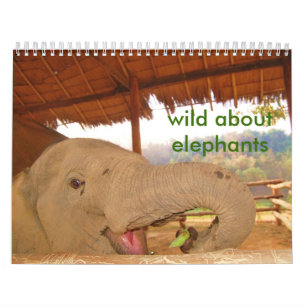 wild about elephants calendar