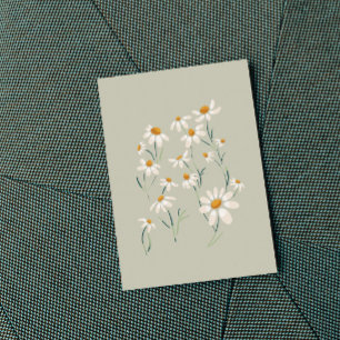 Wild Aesthetic Chamomile Camomile Delicate Flowers