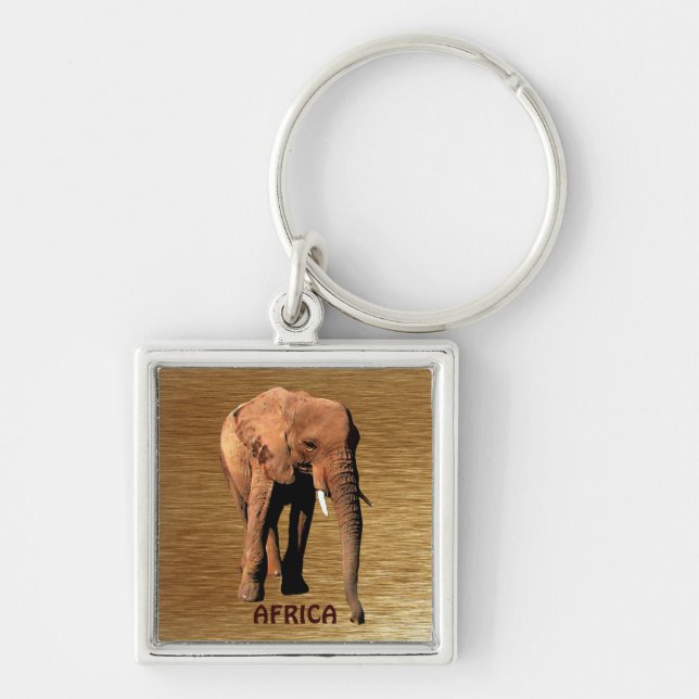 Wild Africa Animal-lovers Big Five Key Ring (Front)