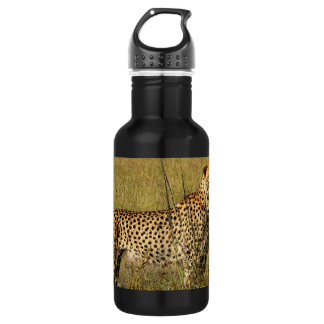 Wild African Cheetah in Savannah Grasses 532 Ml Water Bottle