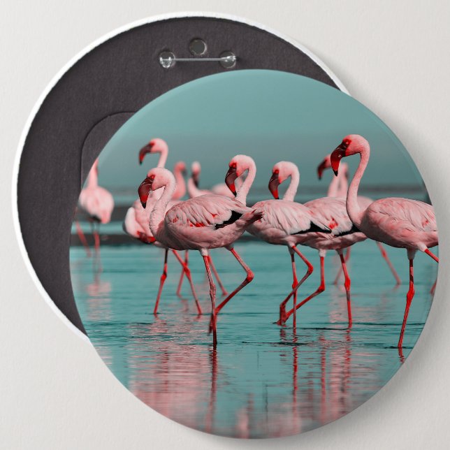 Wild African flamingos 6 Cm Round Badge (Front & Back)