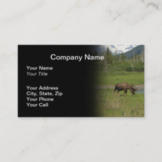 Wild Alaskan Moose Business Card - Black