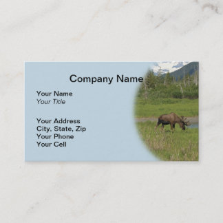 Wild Alaskan Moose Business Card - Light Blue