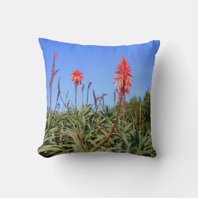 wild aloe pillow  (Front)