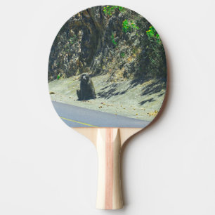 Wild Animal Baboon Animals Ping Pong Paddle