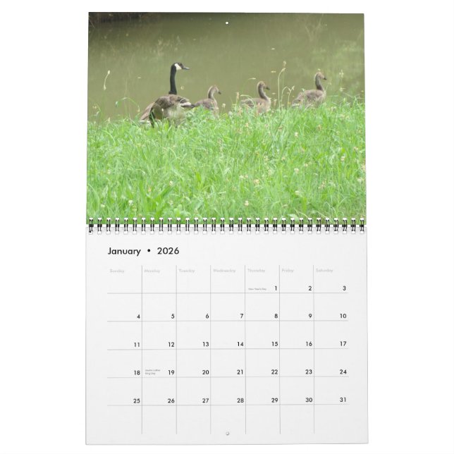 Wild Animal Calendar (Jan 2026)
