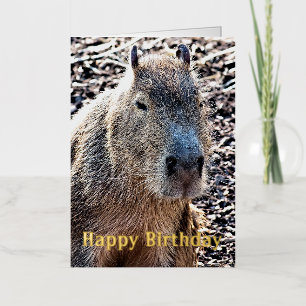 WILD ANIMAL CAPYBARA FOIL GREETING CARD