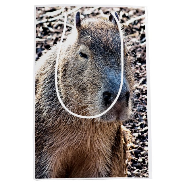 WILD ANIMAL CAPYBARA MEDIUM GIFT BAG (Front)