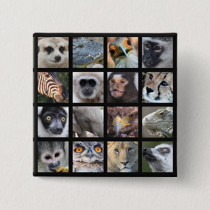 Wild Animal Faces -- Mammals, Reptiles, Birds 15 Cm Square Badge