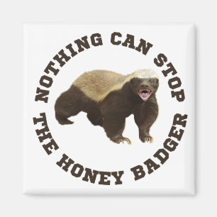 Wild Animal Honey Badger Funny  Magnet