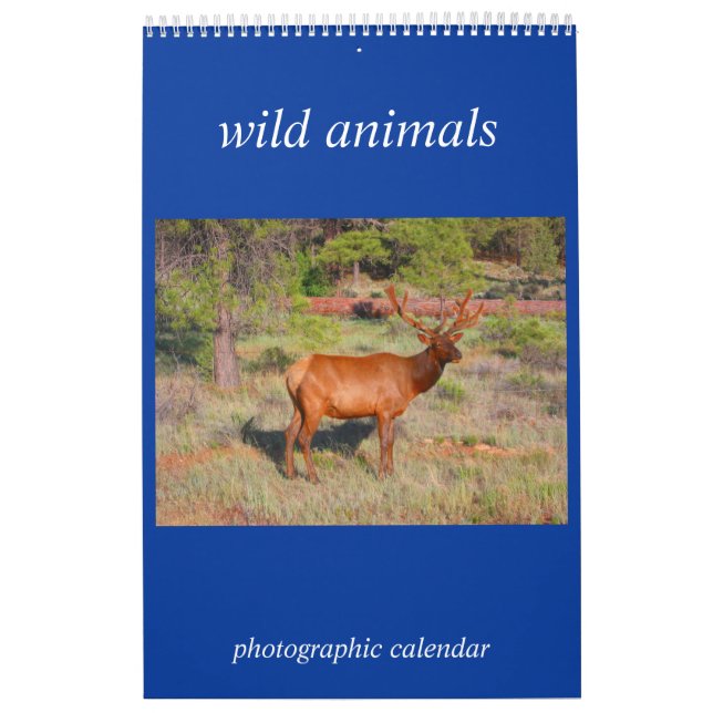 wild animal photo calendar (Cover)