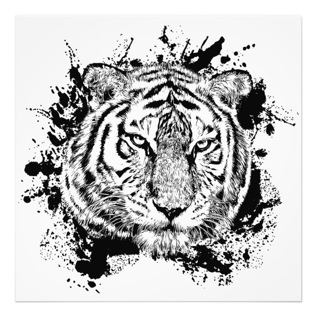 Wild Animal Tiger Jungle Safari Africa World N Photo Print (Front)