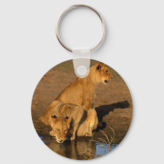 wild animals 300 key ring
