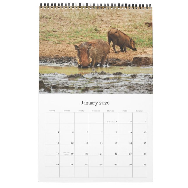Wild animals Africa safari 2012 Calendar (Jan 2026)
