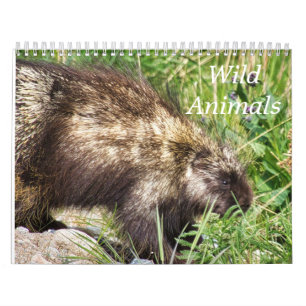 Wild Animals Calendar
