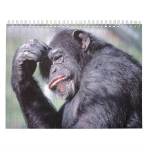 Wild Animals Calender 2012 Calendar