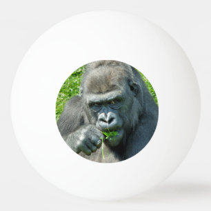 WILD ANIMALS - GORILLAS PING PONG BALL