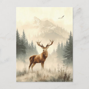 Wild Animals of Alaska. Reindeer.. Postcard
