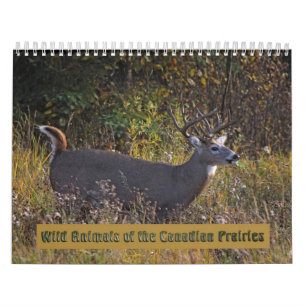 Wild Animals of the Canadian Prairies Calendar