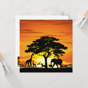 Wild Animals on African Savanna Sunset