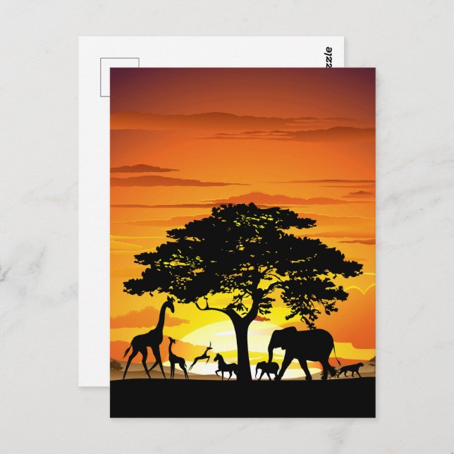 Wild Animals on African Savanna Sunset Postcard (Front/Back)