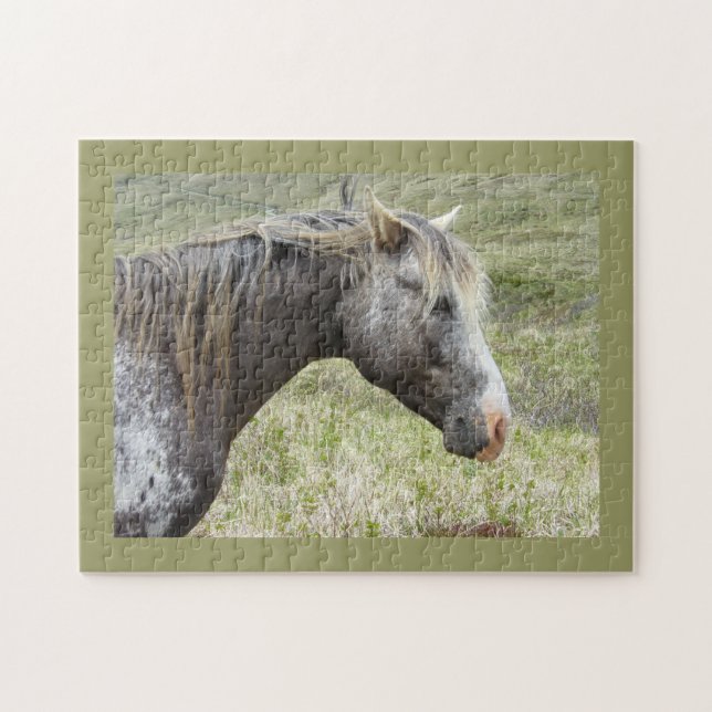 Wild Appaloosa on Unalaska Island Jigsaw Puzzle (Horizontal)