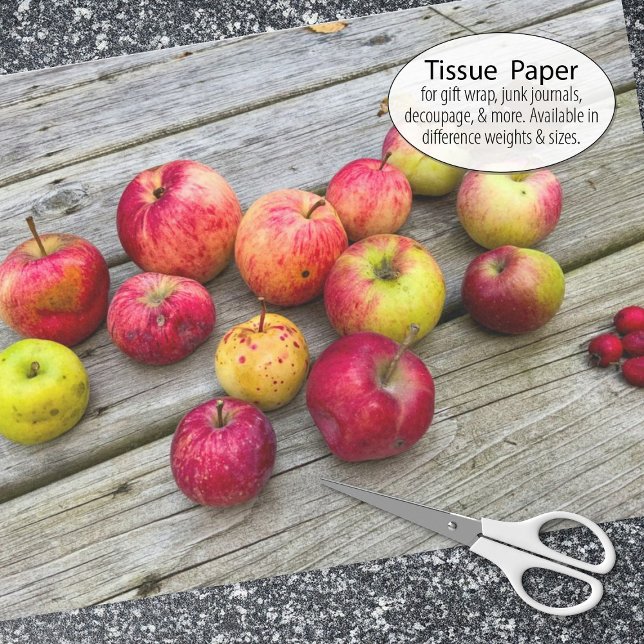 Wild Apple Collection Tissue Paper (Tissue paper for gift wrap and decoupage)