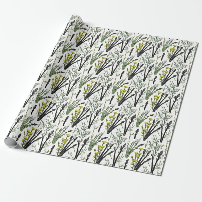 Wild Asparagus Sketch Design: Nature-Inspired  Wrapping Paper (Unrolled)