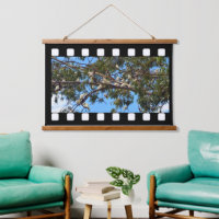 Wild Australian White Cockatoos, Wall Hanging