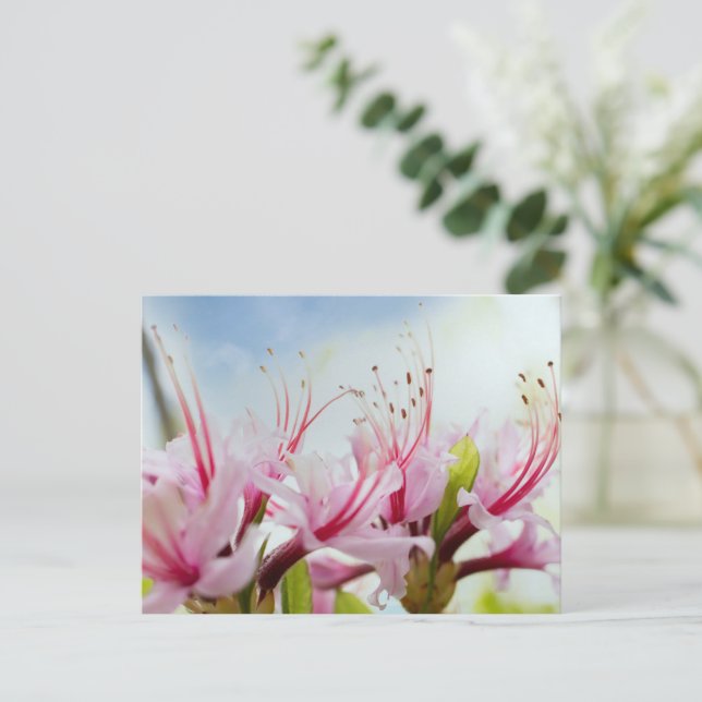Wild Azalea Blossoms Invitation Postcard (Standing Front)