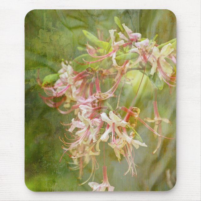 Wild Azalea Blossoms = Springtime Mouse Pad (Front)