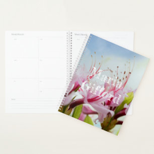 wild azaleas planner