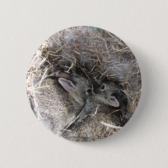 Wild Baby Bunnies Button (Front)