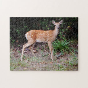 Wild Baby Deer Nature Animal Fawn Puzzle