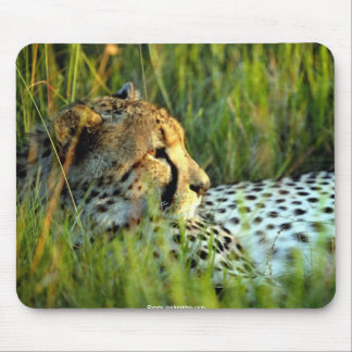 Wild Beautiful Animals 112 Mouse Pad