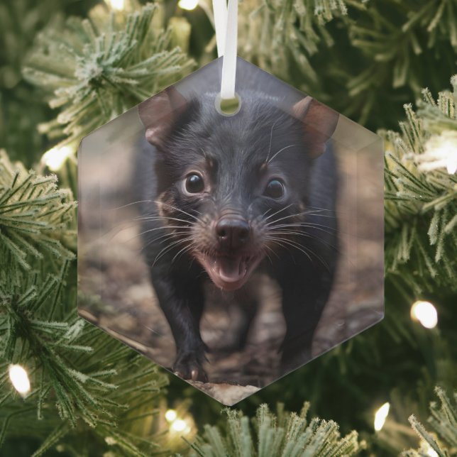 Wild Beginnings: The Young Tasmanian Devil Glass Tree Decoration (Insitu)