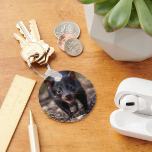 Wild Beginnings: The Young Tasmanian Devil Key Ring