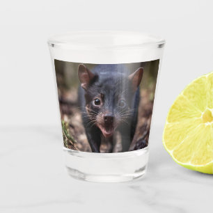 Wild Beginnings: The Young Tasmanian Devil Shot Glass