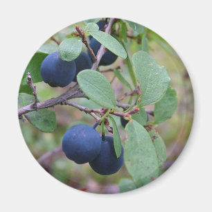 Wild Berries magnet