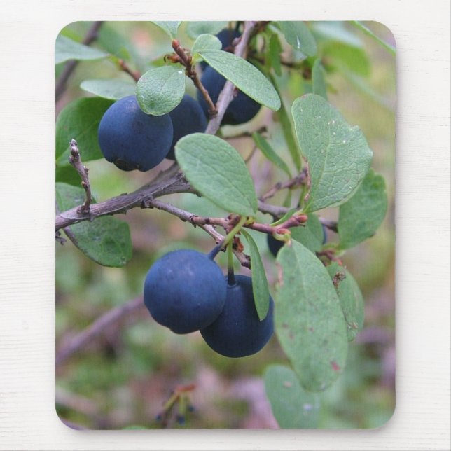Wild Berries mousepad (Front)