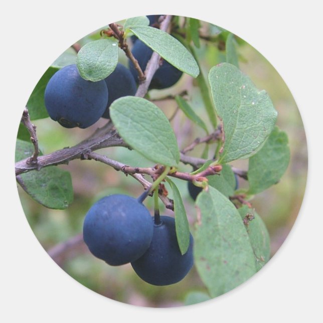 Wild Berries stickers (Front)