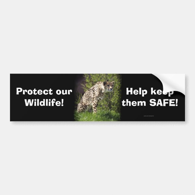 Wild Big Cats Animal-lover Design Bumper Sticker (Front)