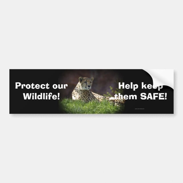Wild Big Cats Animal-lover Design Bumper Sticker (Front)