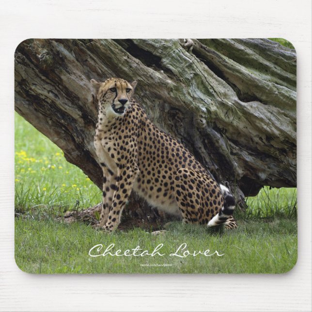 Wild Big Cats Animal-lover Design Mouse Pad (Front)