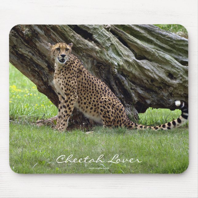 Wild Big Cats Animal-lover Design Mouse Pad (Front)