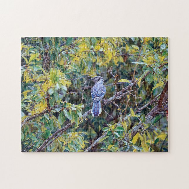 Wild Bird Blue Jay Nature Art Puzzle (Horizontal)