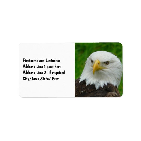 Wild Bird Photography - American Bald Eagle Address Label