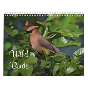 Wild birds in New England Calendar