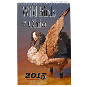 Wild Birds Of Ohio Calendar